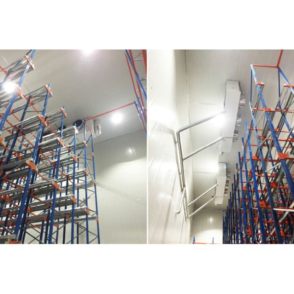 Two Way Radio Shuttle Racking Pallet Runner Rack System For Cold Storage Cold Chain