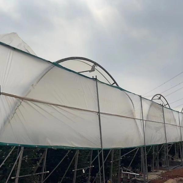 Uv Resistant Polyethylene Berry Hoop Film Greenhouse With Door Keep Warm Growing Strawberry Blueberry