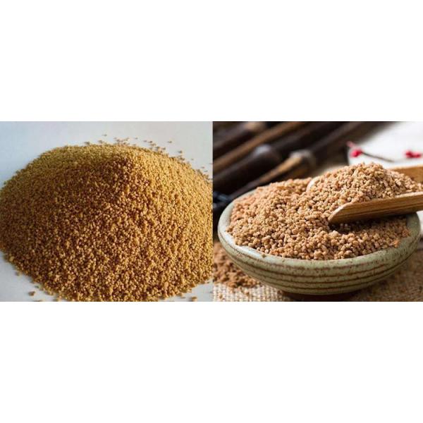 деятельность 65RPM фармацевтической машины гранулятора 300kg/H легкая