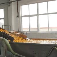 Linha de processamento SUS304 alaranjada industrial máquina de lavar 6KW da bolha do fruto