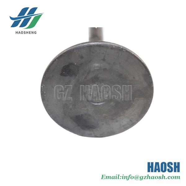 Isuzu Engine Parts Intake Valve  8-94395112-0 8943951120 for Isuzu Npr 4hf1 4hg1 truck