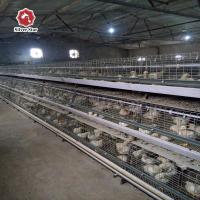 Cages plongées chaudes ISO9001 pour le poulet à griller un type 61*50*44cm