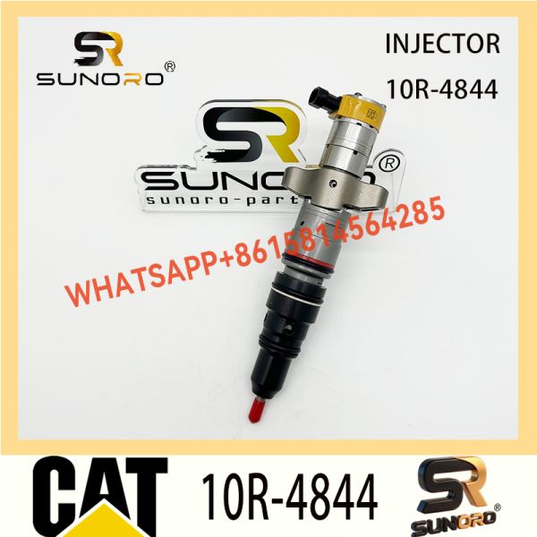 Common Rail Fuel Injector 10R-4844 for CAT C9 with 12 Months Warranty