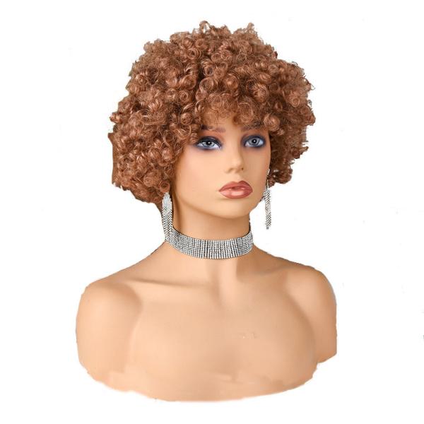 Hot Beauty Short Curly 100% Brazilian Human Hair Pixie Cut Wigs with Average Size