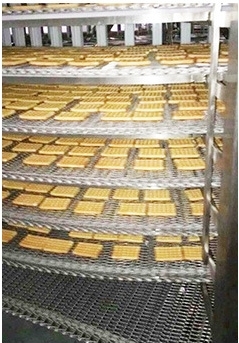 Chain Driven Food Processing Mesh Conveyor Belt Stainless Steel Wire Belt For Meat Poultry Processing Line