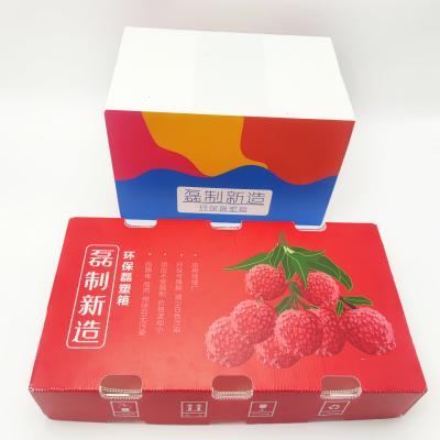 5mm Corrugated Plastic Packaging Boxes Leiser Recycling Carton Boxes