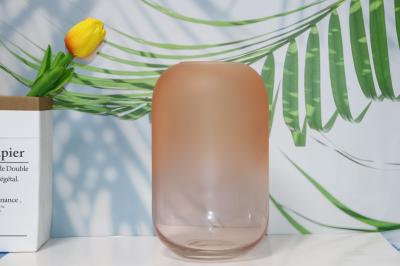 Decoração de Vaso de Vidro Elegante e Transparente