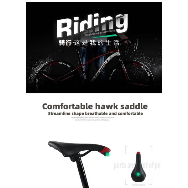 Adult Road Bike Carbon Frame Road Bicycle with 700*25C Tire and MicroNEW System