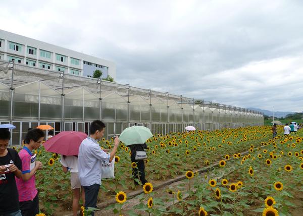 Energy Efficient Multi Functional PC Greenhouse With Seeding Bench - Suitable For Ornamental Plants In Any Climate