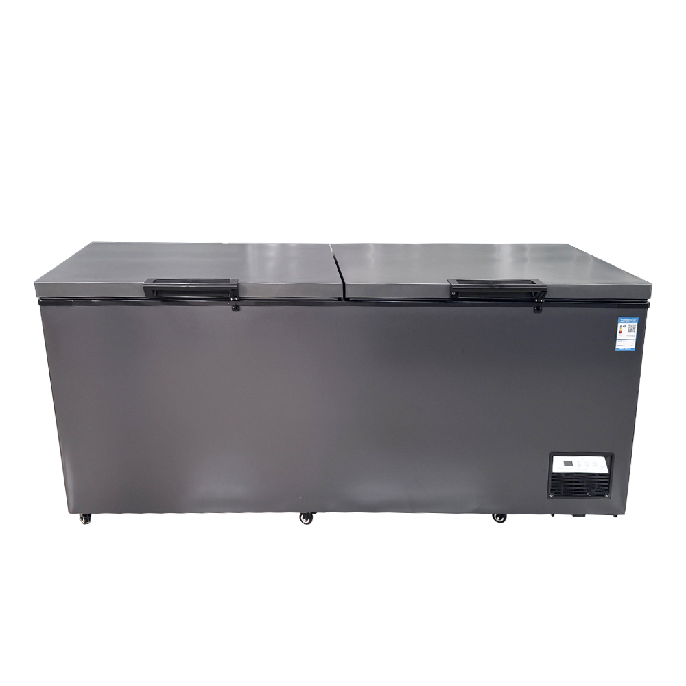R290a Energy Efficient Chest Freezer Low Carbon Customizable Outdoor Deep Freezer