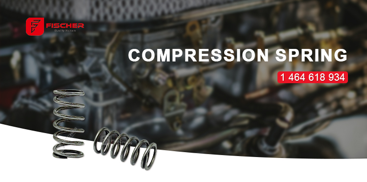 High Quality Compression Spring 1464618934  for Injection VE PUMP