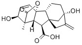 Gibberellic acid 77-06-5