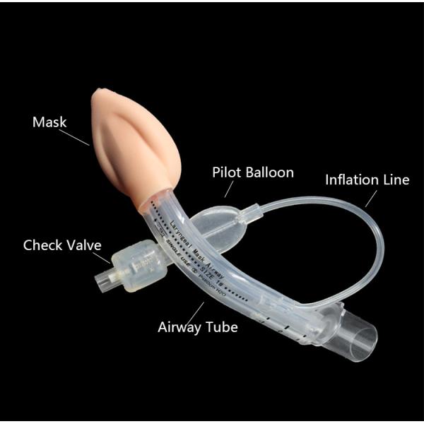 CE ISO Approved Hospital General Medical Disposable Laryngeal Mask Factory Airway Supplier (Одобрённая CE ISO больница общей медицинской одноразовой ларингеальной маски для дыхательных путей)