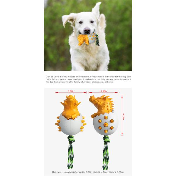 Most Popular High Quality Bite-resistant Star Pet Dog Cooling Pet Training Clean Teeth Chew Dog Toy