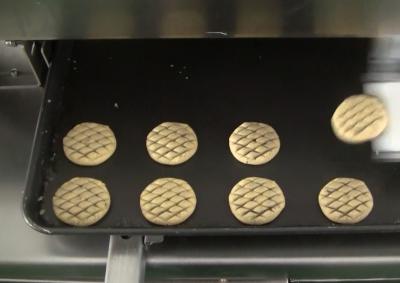 HONGXIN 1000w Egg Painting Machine for Pineapple cakes