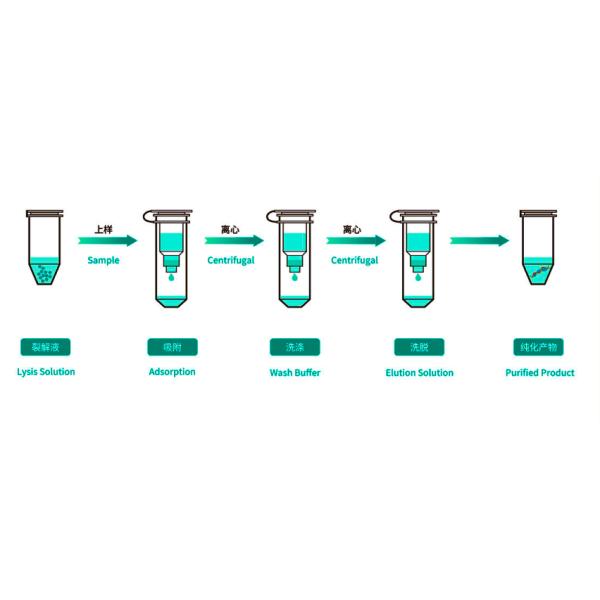 Аттестация наборов YBTC MSDS извлечения Рибонуклеиновой кислоты QPCR мини вирусная