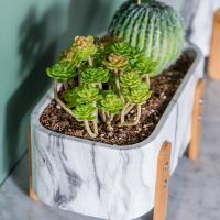 Os potenciômetros de Mini Flower Pots Tabletop Flower dos potenciômetros da planta das plantas carnudas marmorearam plantadores do potenciômetro da textura com os potenciômetros de bambu do cimento do pé