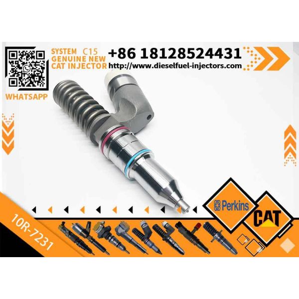 Diesel Fuel Injector 276-8307 10R-7231 230-3775 for Cat-erpillar C18/C32 Common Rail Injection Valves