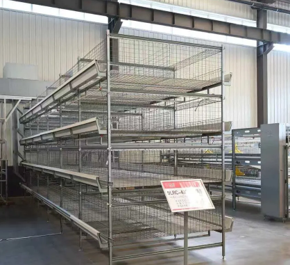 Commercial Poultry Cage System Featuring Durable Plastic Feed Pan