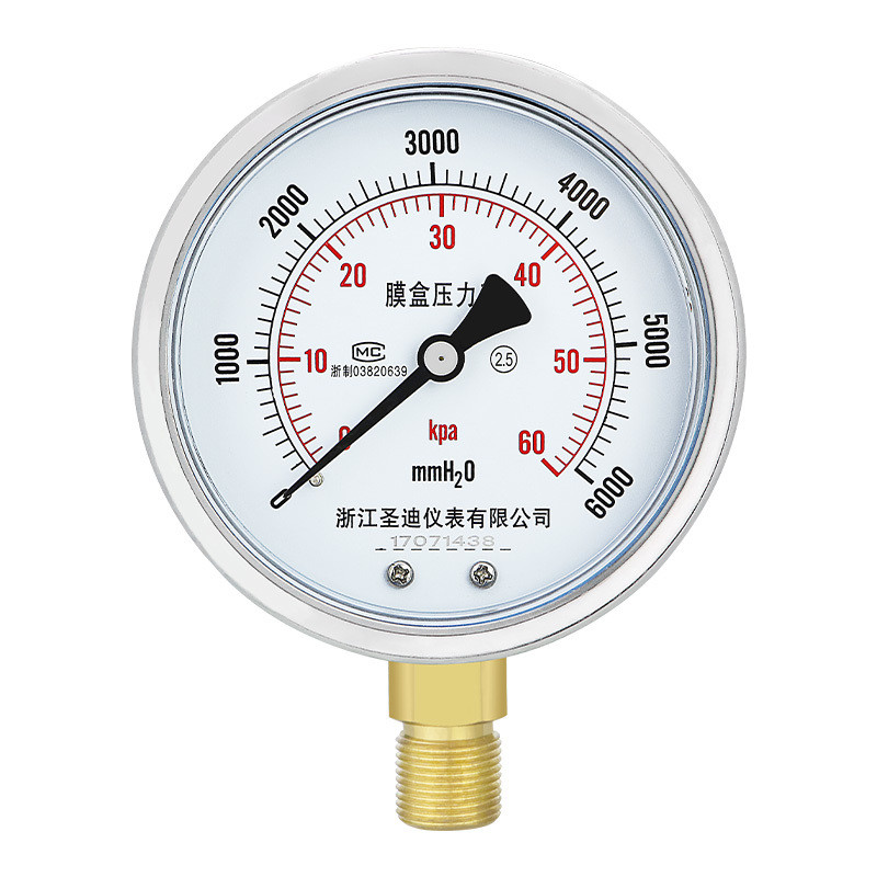 Customizable 304ss Stainless Steel Case Hydraulic Capsule Micro Pressure Gauge YE100