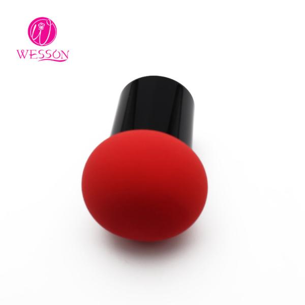 Wesson Makeup Egg Sponge