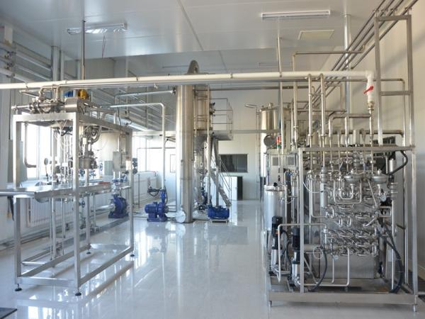 380V 2T/H Stainless Steel Mango Pulp Production Line