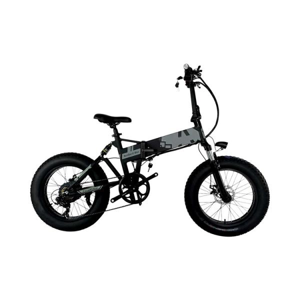 Battery Powered 20 Inch Fat Tire Electric Bike