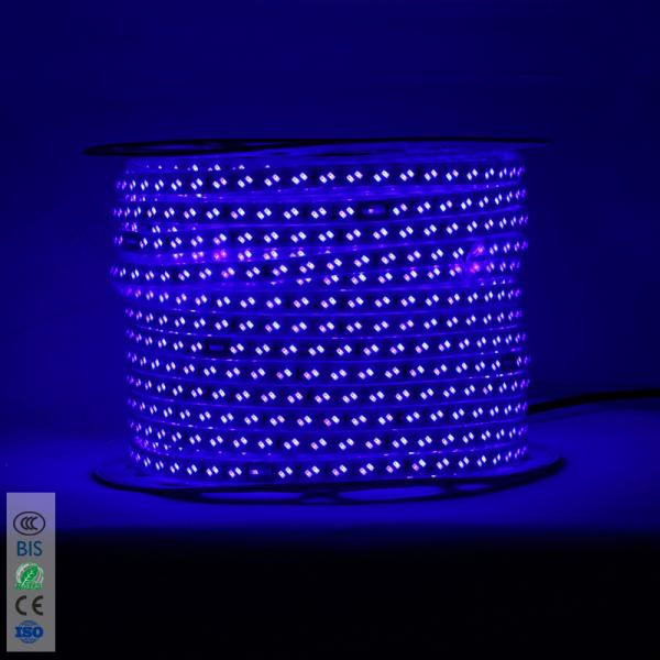 220V 5730 white warm white blue purple Flexible strip lighting led Double row 120chips/m LED strip lights/led light stri
