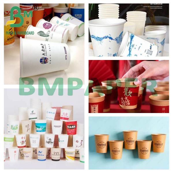 210g+20g White No Stick Cup Paper 100 % Wood Pulp Board For Making Cup