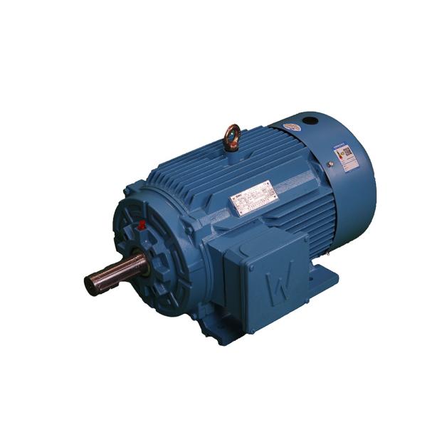 380V 400V 415V 660V Asynchronous Three Phase Motor For Power Station