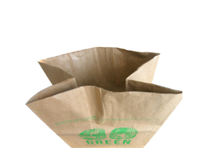 Браун Biodegradable Flexo печатает бумажные сумки выжимк