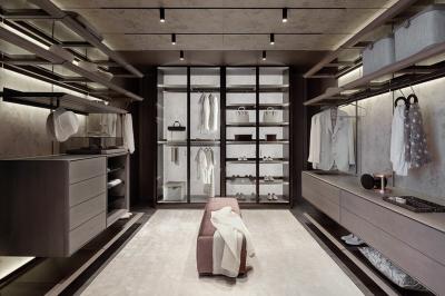 Tailored Modern Custom Walk In Closet Wardrobe With Glass Door Penal