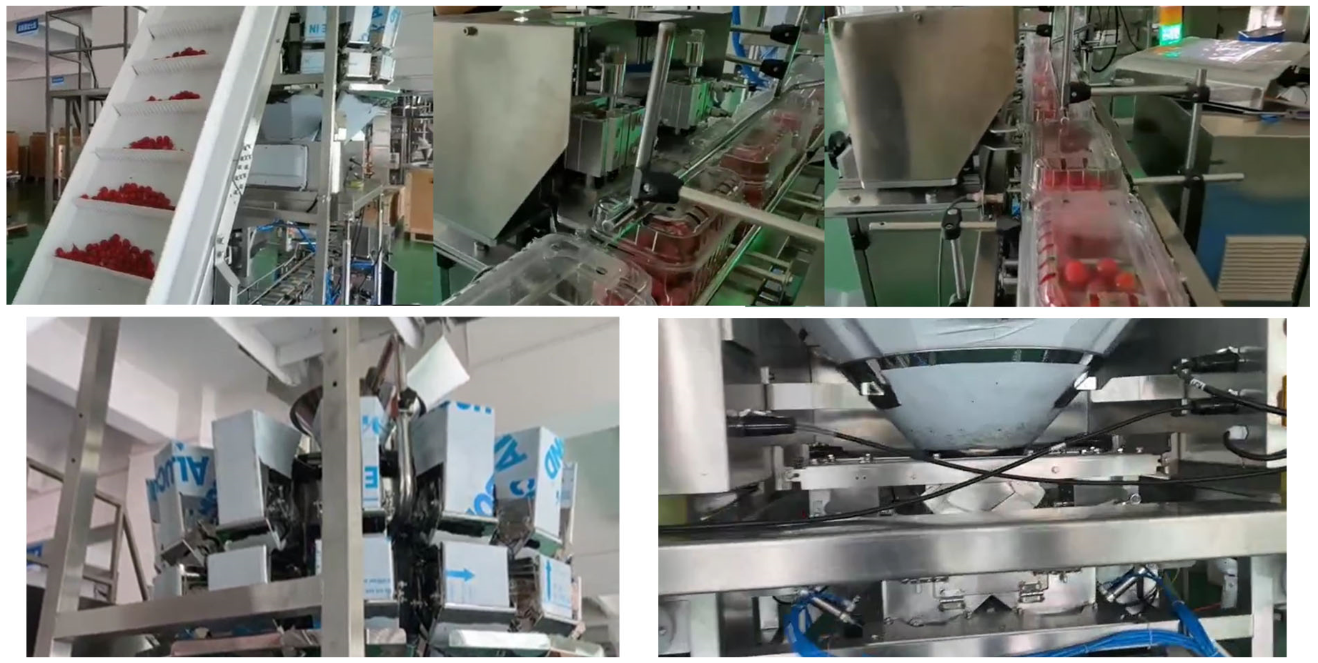 Система весить и упаковки Weigher SUS304 Multihead автоматическая для плодов вишни замороженных в коробках