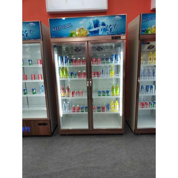 Vertical 2 Door Commercial Display Fridge Restaurant 1260L