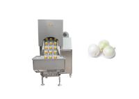 Machine d'épluchage d'oignon de lavage de SUS304 1.0MPa 3000kg/H