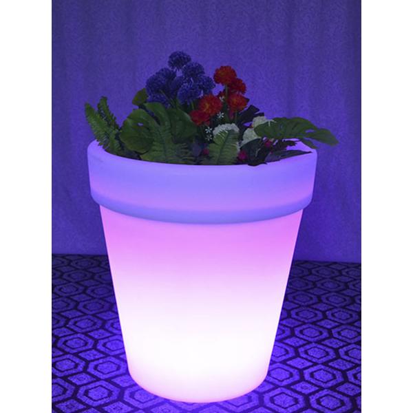 Светодиодные солнечные лампы для растений Рождественские украшения Загородный сад Свет на газоне