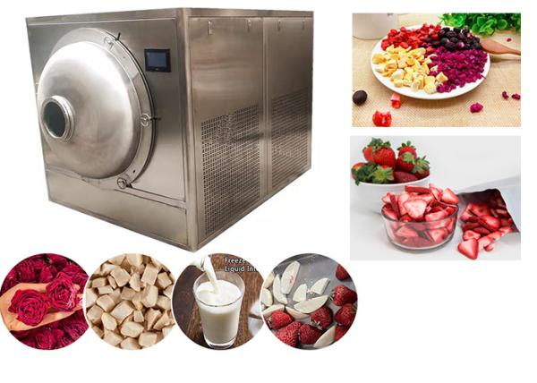 Medium Food Vacuum Industrial Freeze Drying Equipment
