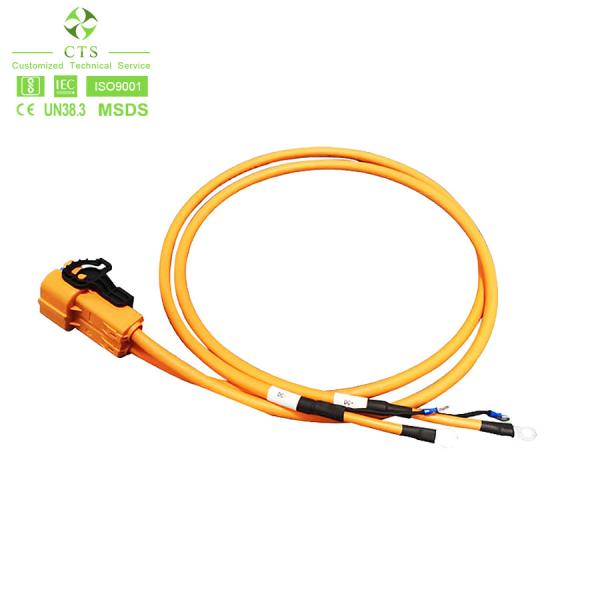 CTS Industrial Wiring Harness for Motorcycle Auto Electric Vehicle High Voltage Power Cable