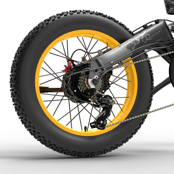 Lankelsisi X3000Plus 20 Inch Fat Tire Electric Bike 1000W 13AH