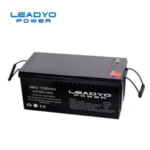 36V 100Ah LiFePO4 Rechargeable Battery Deep Cycle For Forklift