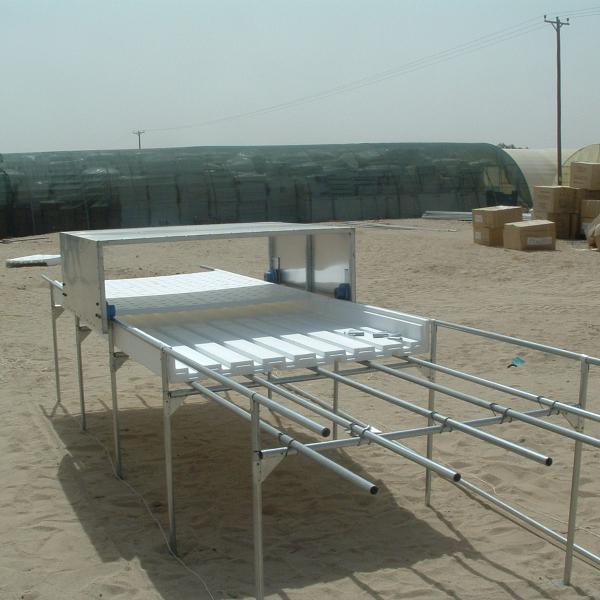 Efficiently Deep Water Culture Dwc With Planting Bench Commercial Dwc System Anti Algae