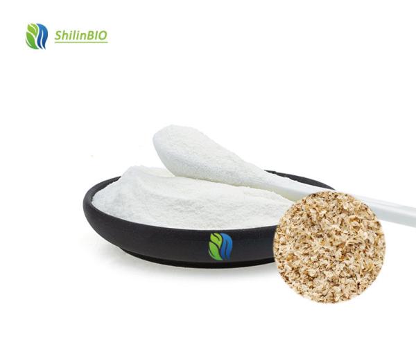Psyllium Husk Powder Bulk 98% Dietary Fiber