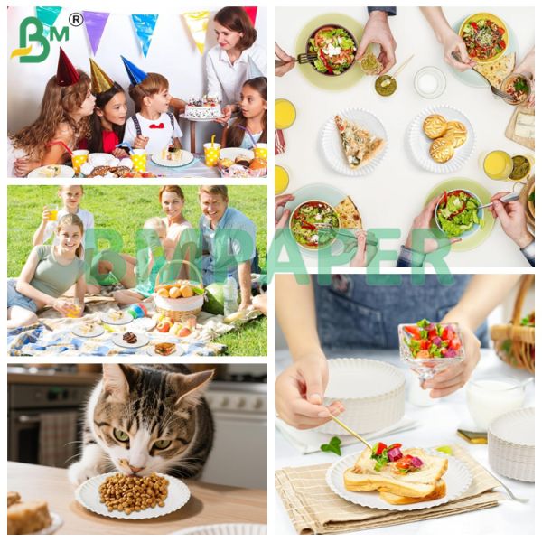 Food-Grade Bowl And Dish Specialty Paper / Plate Paper, PET Coated