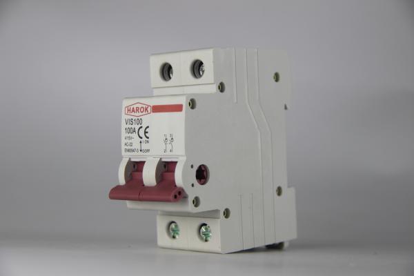 Vis100 2p 80a Main Switch Isolating Circuit Breaker Household Function Disconnector Isolator 32a 63a 100a