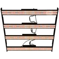 O diodo emissor de luz de SAA IR LM301H cresce AC277V claro 800w Uva Uvb 5x5ft 4 interruptores