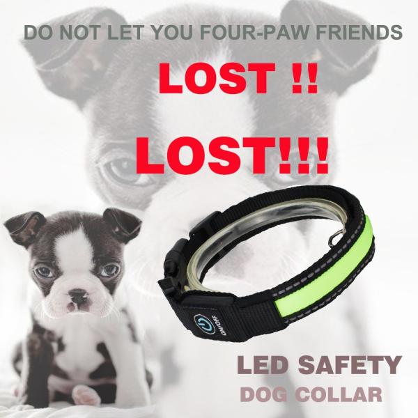 Custom USB LED Dog Collar Nylon Print Adjustable Reflective Rechargeable Waterproof