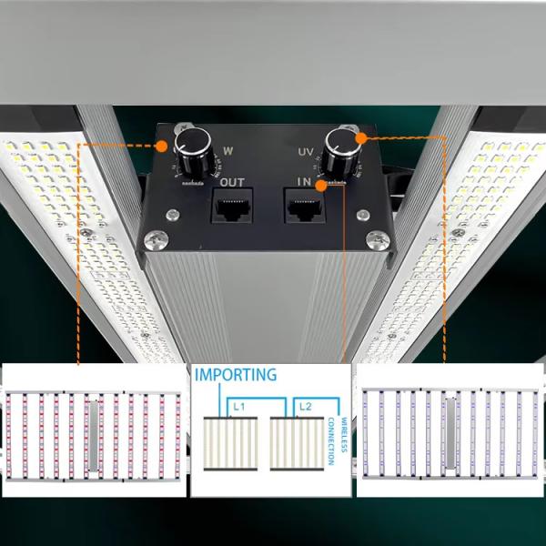 ANDY Two Channels 1300W Full Spectrum UV 12 Bar LED Grow Light for Commercial Hydroponics Plants CE RoHS FCC ETL DLC