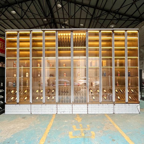 Modern Stainless Steel Thermostatic Wine Cabinet Humidity Control For Living Room