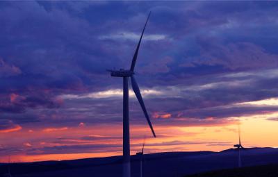 Low Carbon Domestic Wind Turbine Power Generator 12m/S