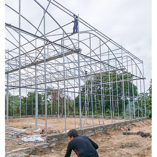 Strong Structure Large Multi-Span Agricultural Tropical Greenhouses PE Plastic Film Covered Gutter Rain Water Collection